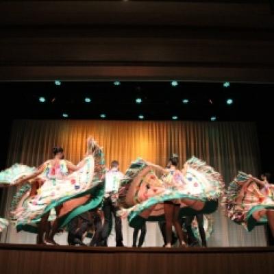 163910502561b2c201991dc